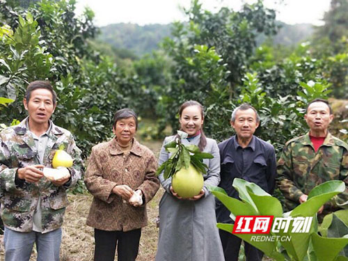 洪江市禹甜科技有限公司,農產品的批發(fā)零售